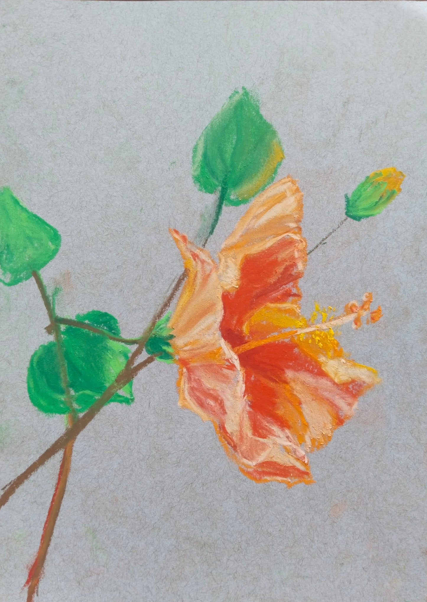 Botanical set of 4